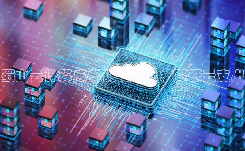凯捷娱乐滴滴出行蜀山云计算成本优化指南：降低云支出