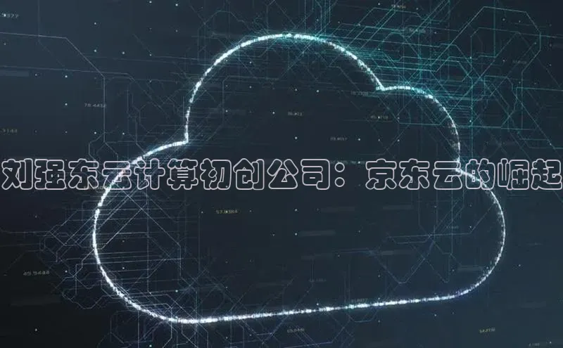 凯捷娱乐赛富乐斯刘强东云计算初创公司：京东云的崛起