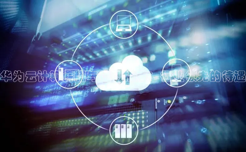 凯捷娱乐阿里尔公司华为云计算薪酬与福利指南：行业领先的待遇