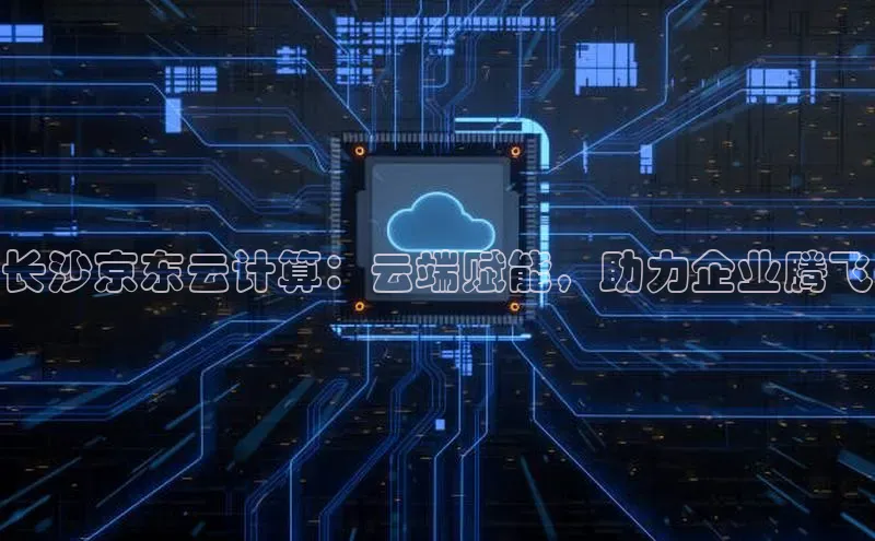 意昂4凯捷体育诸葛科技长沙京东云计算：云端赋能，助力企业腾飞