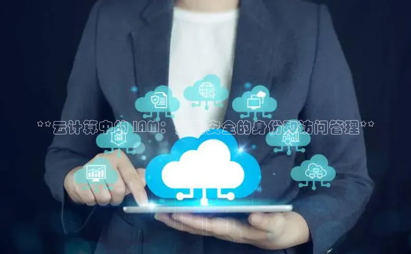 凯捷百度技术学院**云计算中的 IAM：实现安全的身份和访问管理**