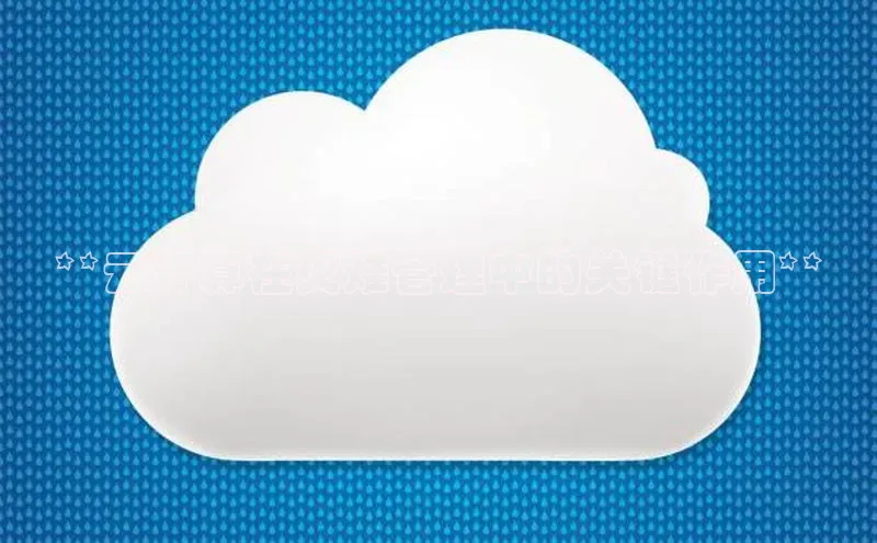 凯捷天键股份**云计算在灾难管理中的关键作用**