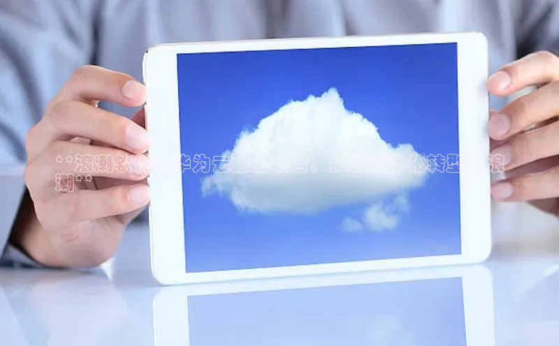 意昂4凯捷汉得信息**浪潮软件与华为云强强联合，推动数字化转型新浪
潮**