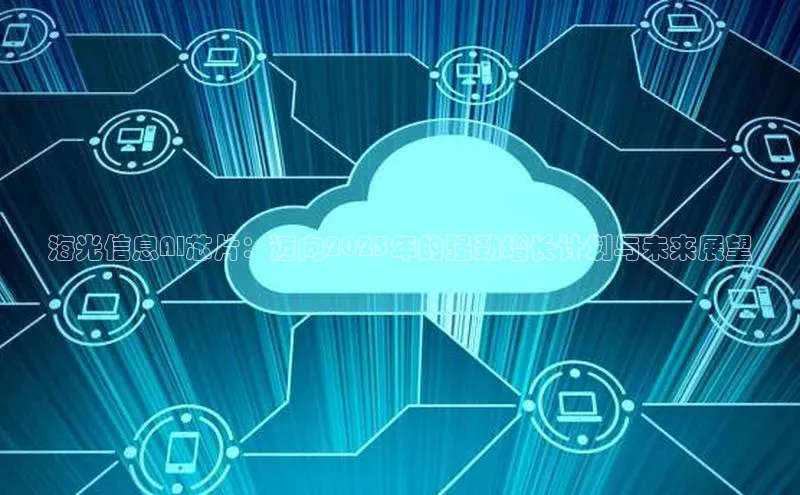 海光信息AI芯片：迈向2025年的强劲增长计划与未来展望