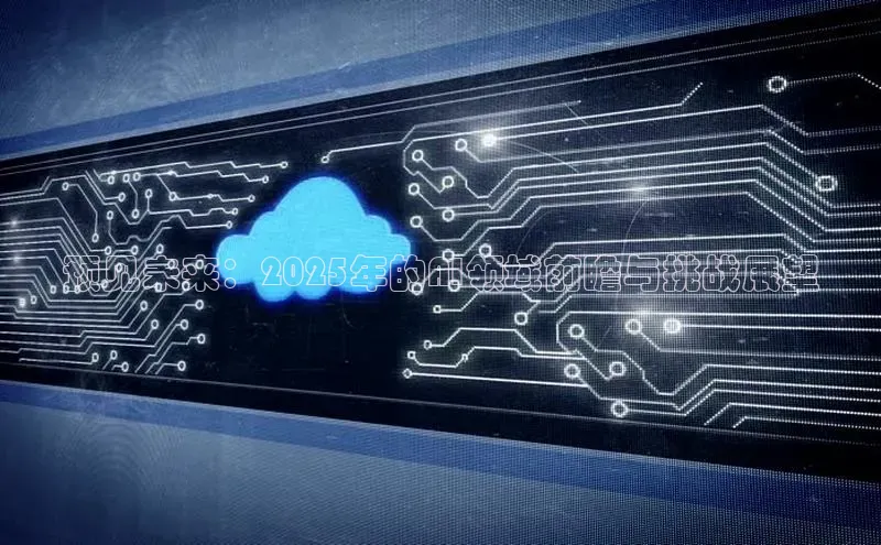 预见未来：2025年的AI领域前瞻与挑战展望